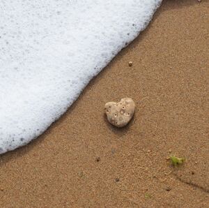 Team Page: Beaches & Bros